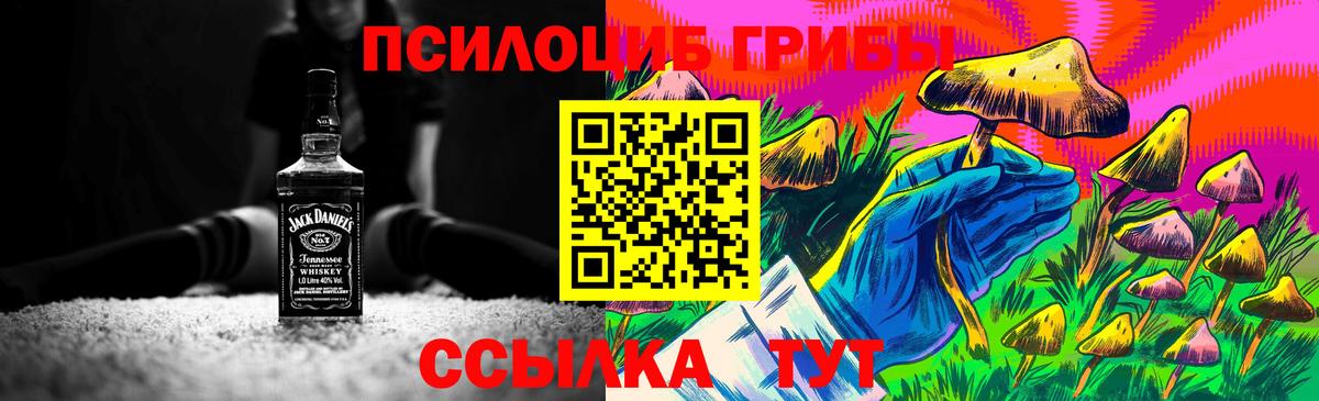Псилоцибиновые грибы Psilocybine cubensis Сухой Лог